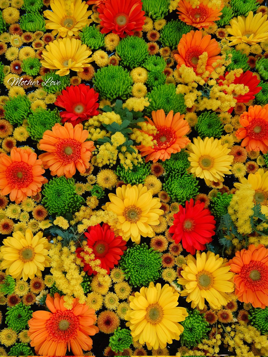 マザーラブ💗Ⅱ (@motherlove0905) / Posts / X