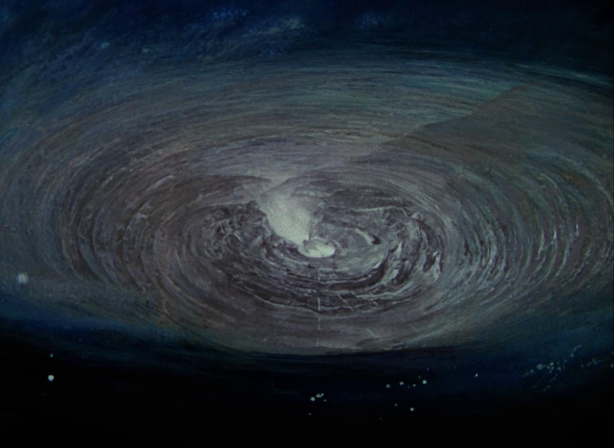 hazel 🐾 tweet media