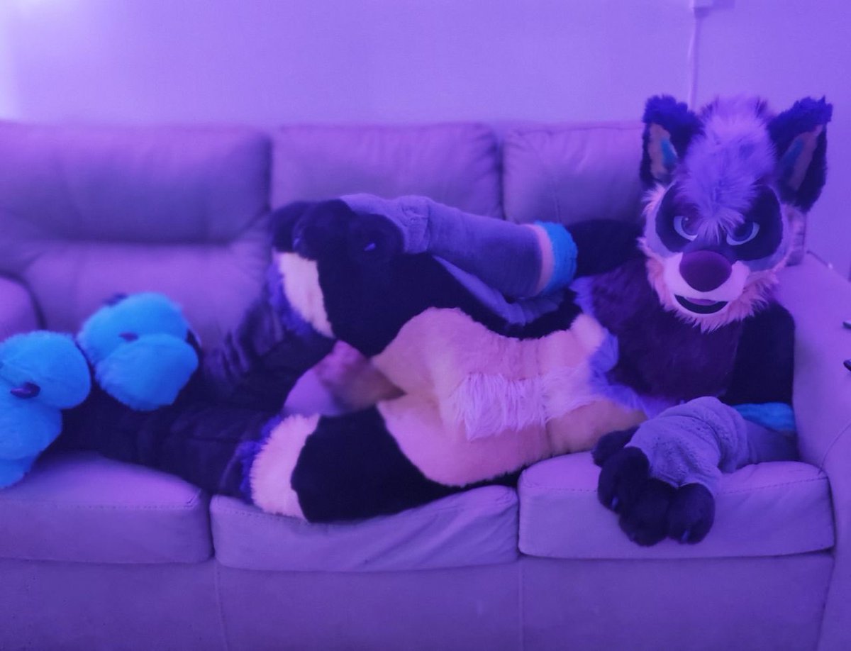 Kizma Husky tweet media