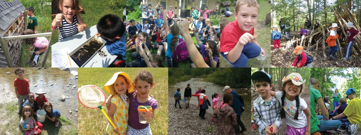 Rouge_Valley_CC's tweet photo. Summer Day Camp, Ecologist in Training Teen Program &amp; Wildlife Explorers Program for kids - https://t.co/z8XeqoxRye https://t.co/oYQk1L8EWW