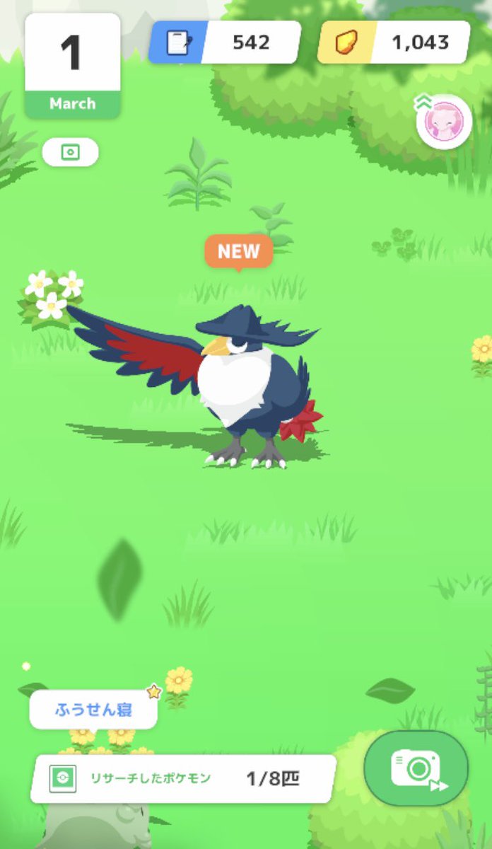 ドンカラス初GET！✨ #ポケスリ