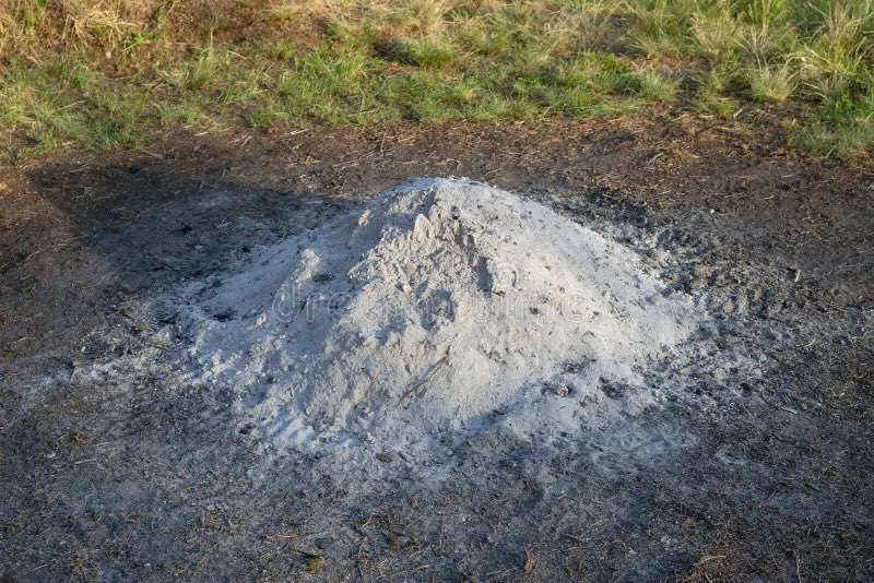 Classic Republicans tweet media