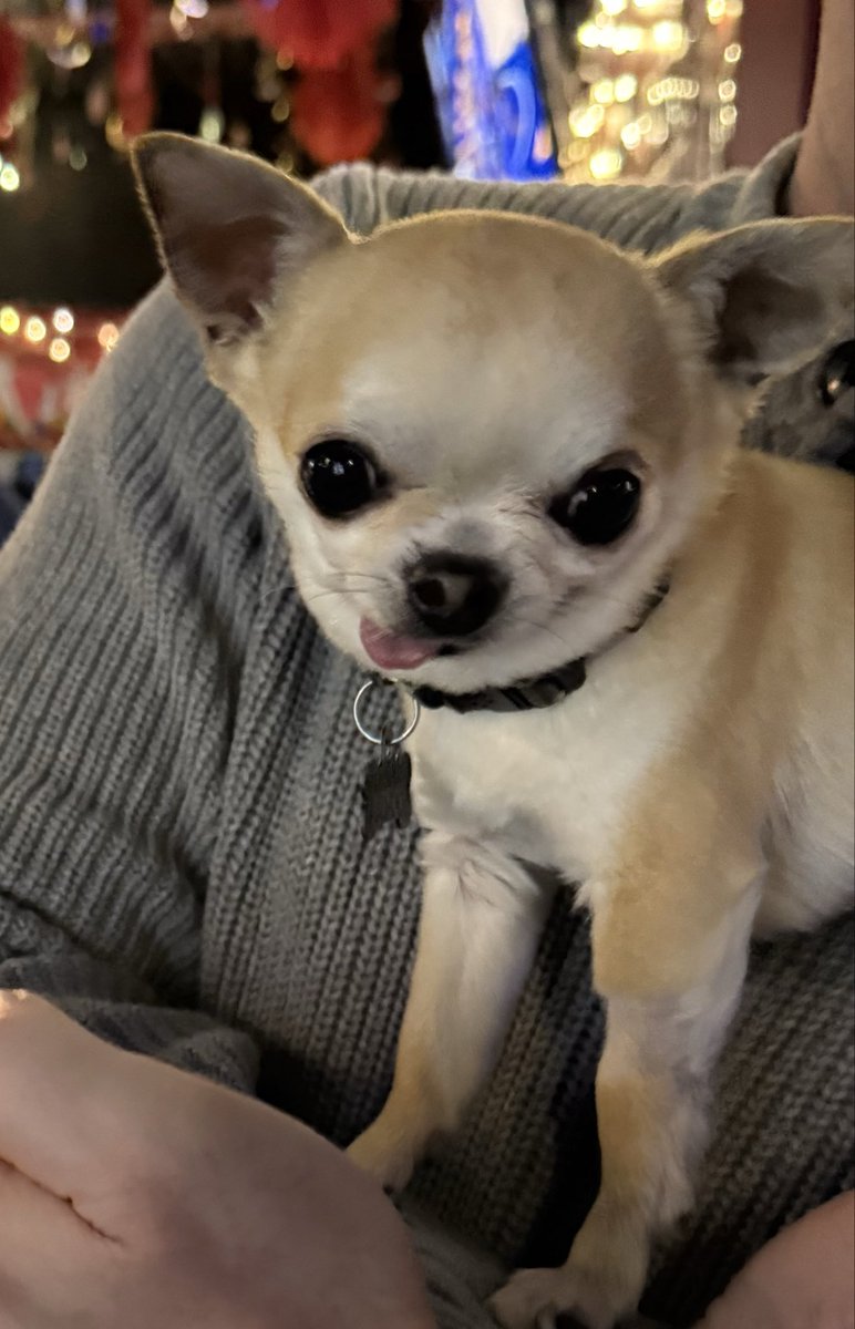 Blatz Buck tweet media