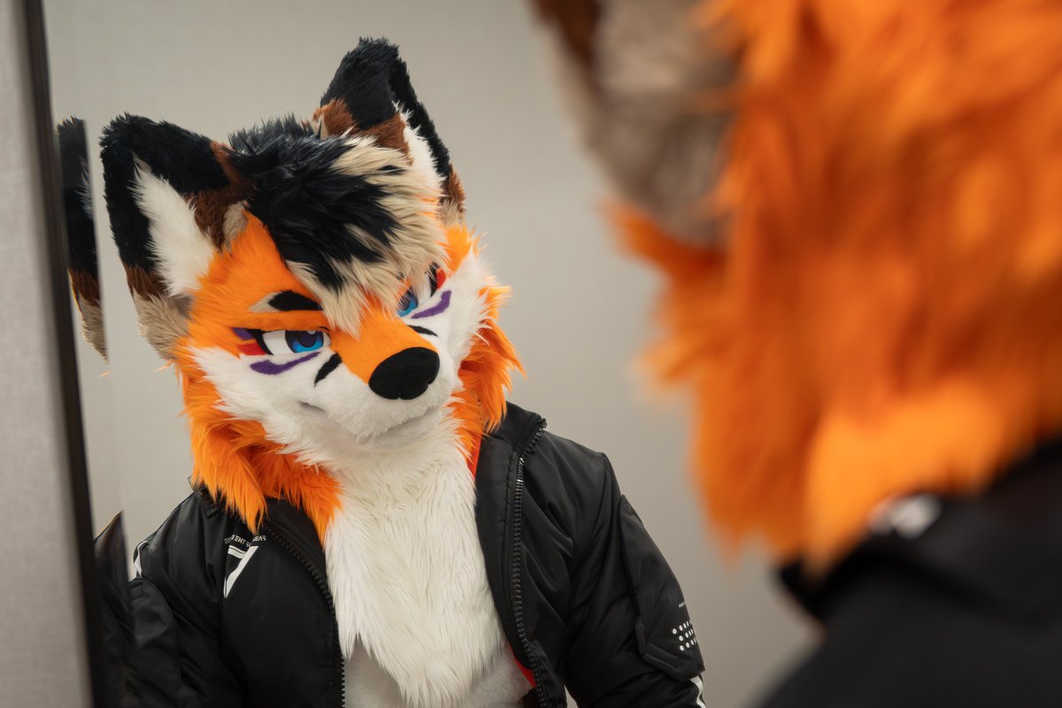 Flow the Wolf - F2 tweet media