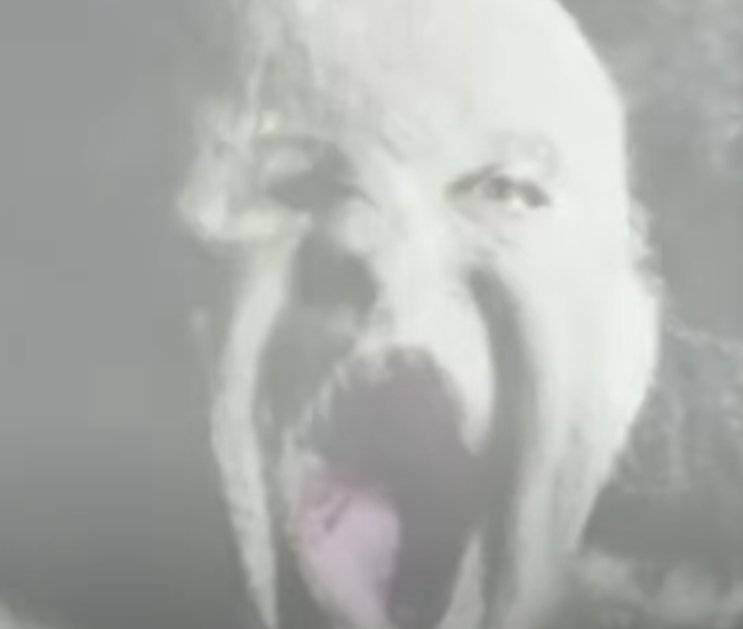 splatterjacker's tweet photo. Me being one of the 17 Resident Evil 6 fans seeing it slowly get retconned https://t.co/DI6isHqraO