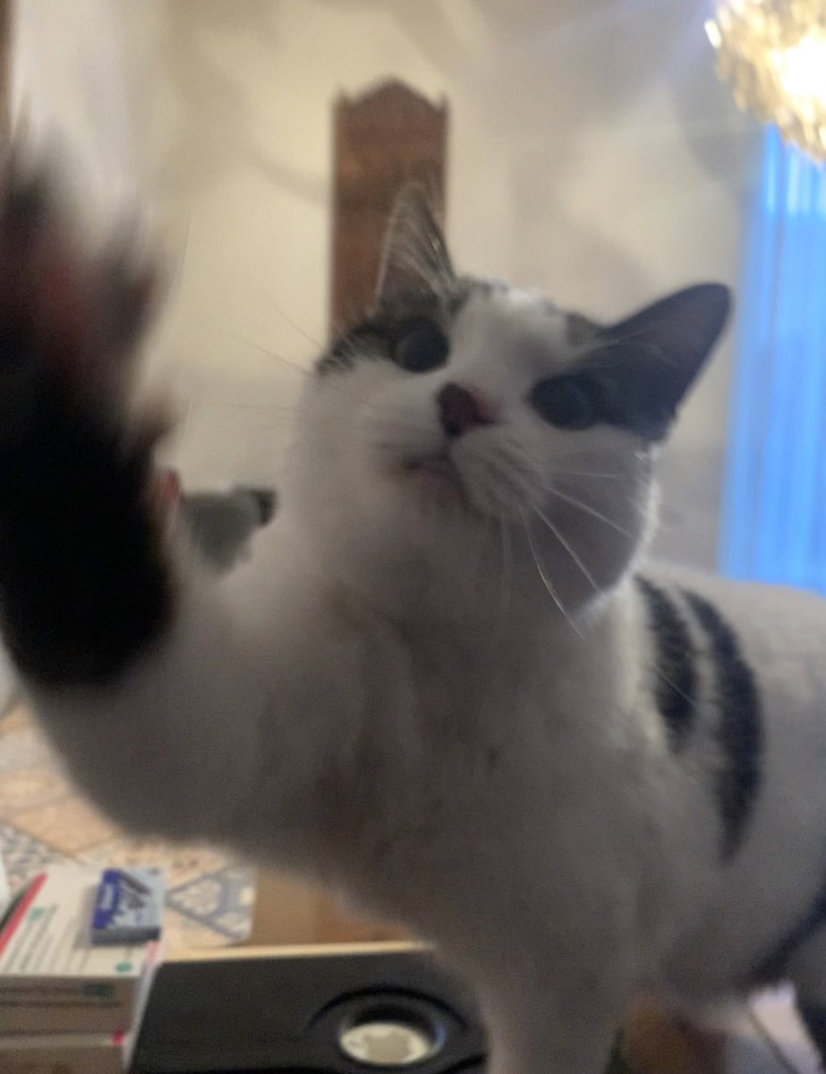 YO❗️ HIGH FIVE‼️