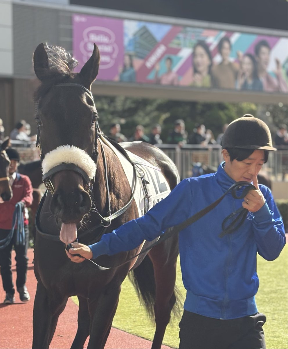 小倉2R ジャストマイウェイ🤍(国枝厩舎)👅ｶﾜｲｲ 前走は度外視で、改めて