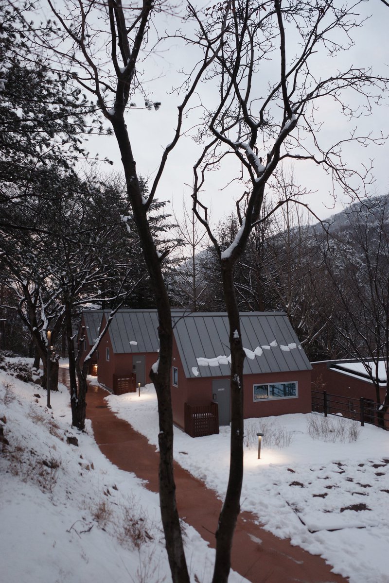 bomrye's tweet photo. 눈 내리는 날 계룡산생태탐방원 ☃️ https://t.co/1gTeoOHM8h
