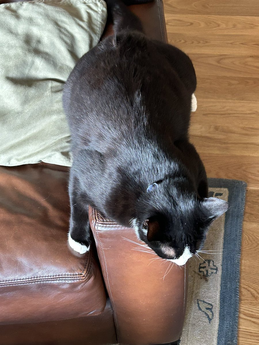 Phisheyy 🐟 tweet media