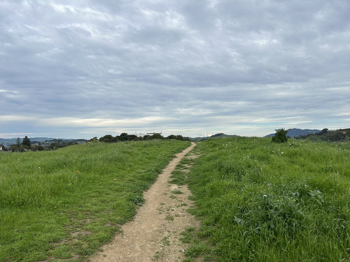 Phisheyy 🐟 tweet media