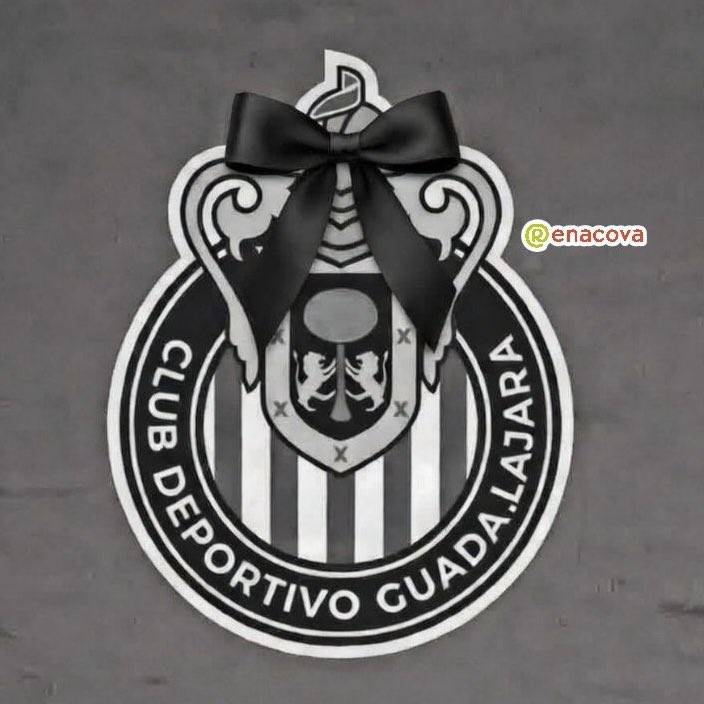 renacova tweet media