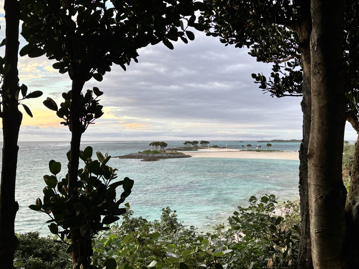 ffffoo's tweet photo. みたけと沖縄上陸してきたぞ🏝️
(記録)前泊込み2泊2日。今回は美ら海水族館と熱帯ドリームセンター2点集中のスケジュールになったため、宿はその周辺にとる。到着日の昼間はかなり雨だったが夕方には止んでいい景色になり、翌日は薄曇り/晴れ。花粉がない世界。 https://t.co/QI0XsWiIcC