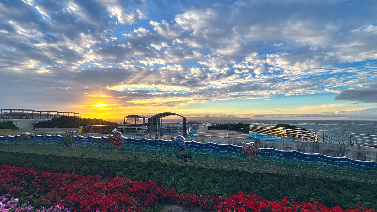 ffffoo's tweet photo. みたけと沖縄上陸してきたぞ🏝️
(記録)前泊込み2泊2日。今回は美ら海水族館と熱帯ドリームセンター2点集中のスケジュールになったため、宿はその周辺にとる。到着日の昼間はかなり雨だったが夕方には止んでいい景色になり、翌日は薄曇り/晴れ。花粉がない世界。 https://t.co/QI0XsWiIcC