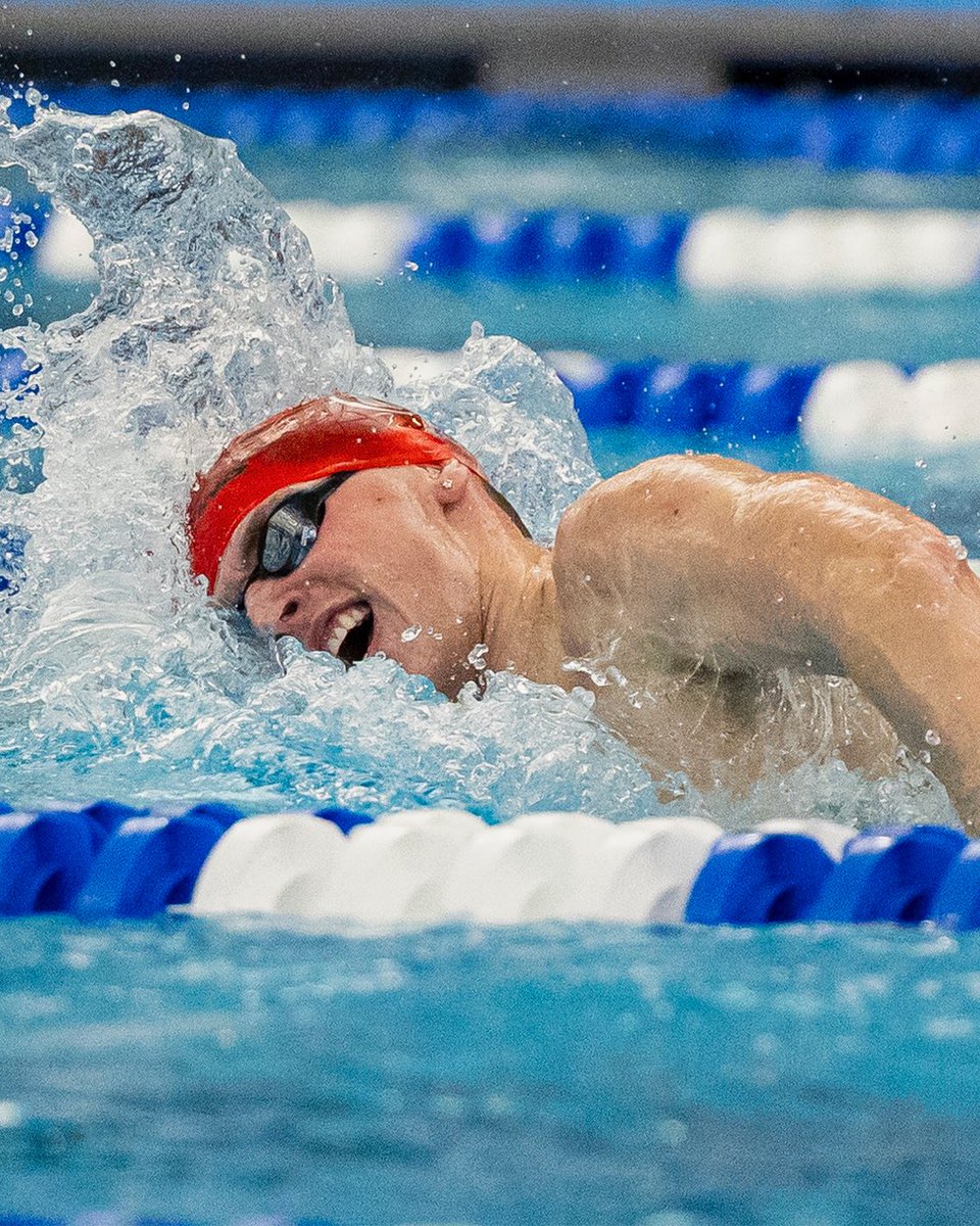 UTAHswimdive's tweet photo. Are you not entertained? 👑

#GoUtes | #Big12SD https://t.co/FIQiNv92P6