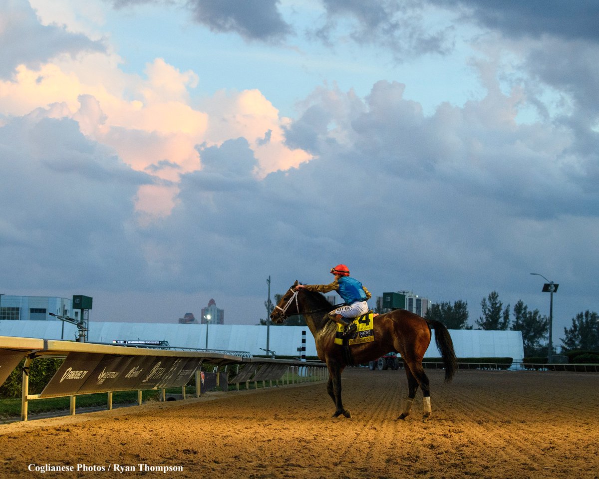 Ryan Thompson tweet media