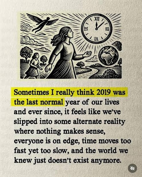 V de Vera (Lili) tweet media