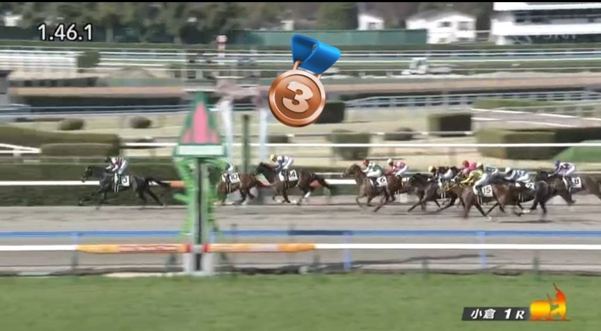 スペシャルウィーク血族馬 小倉1R 3歳未 ➉ハクアイタワー🏇 (父タワー