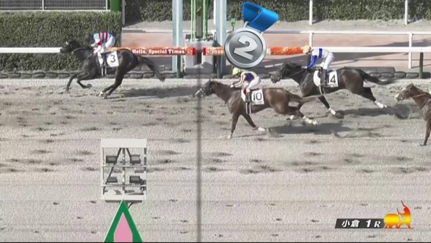 スペシャルウィーク血族馬 小倉1R 3歳未 ➉ハクアイタワー🏇 (父タワー