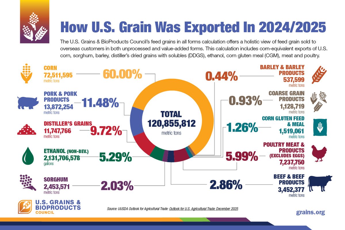 MissouriCorn's tweet image. 🌽When talking grain exports, the impact goes far beyond just the kernel. U.S. corn is also exported as ethanol, distillers grains, and in the form of corn-fed meat such as beef, poultry, and pork. See all the ways exports expand corn demand across the globe! 🌽#exports #corn
