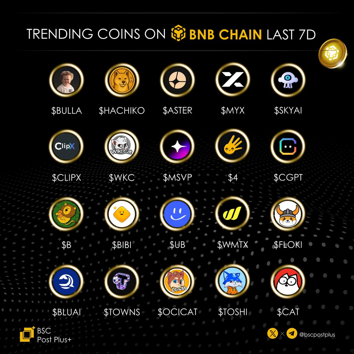 BSC Post Plus tweet media