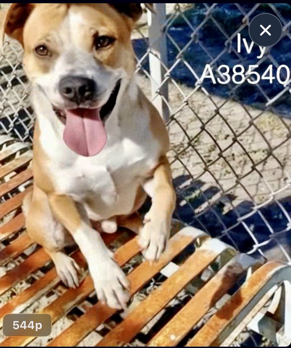 Cheryl Ramirez tweet media