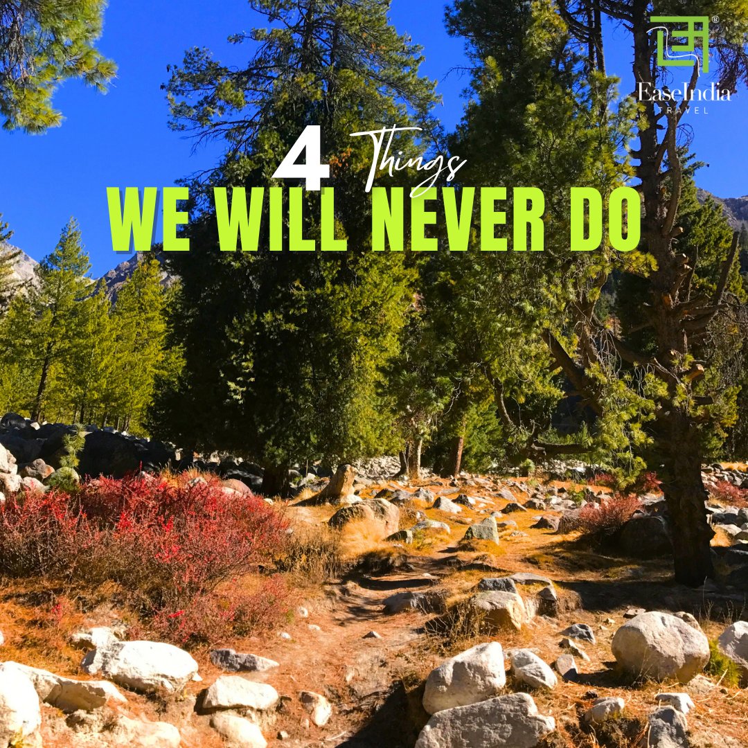 Ease India Travel tweet media