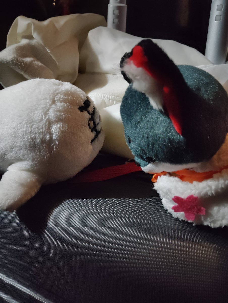 みやりゅう🌸 tweet media