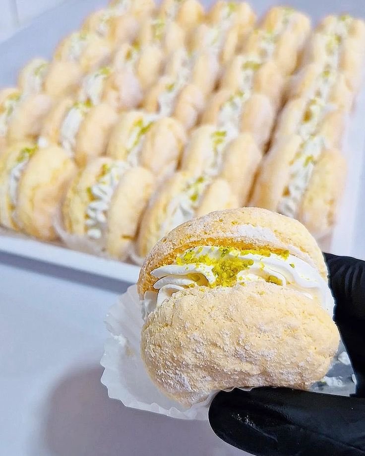 همسر میون پنبه🐰 tweet media