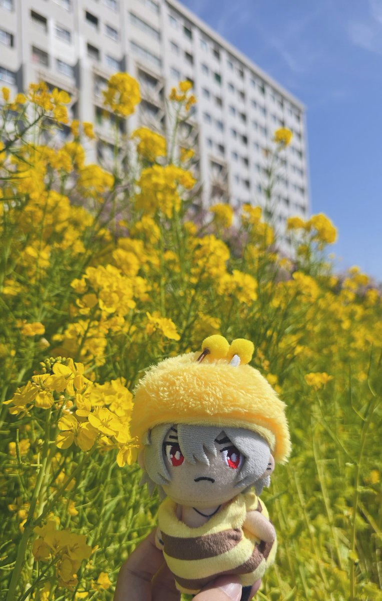 蜂の子ぶんぶんさまちゃん じゅとと一緒