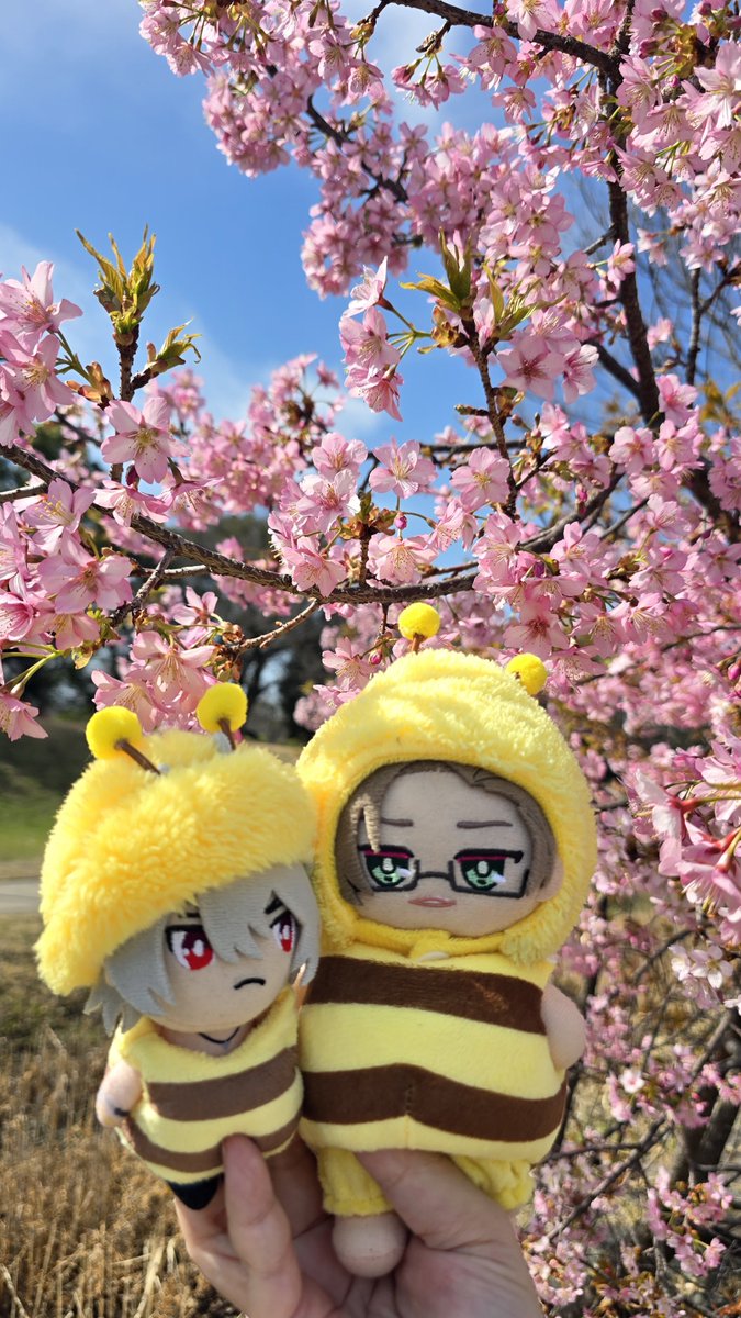 蜂の子ぶんぶんさまちゃん じゅとと一緒