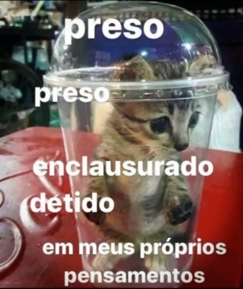 caiogt__'s tweet photo. https://t.co/yK0X8n4pQ4