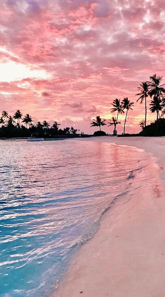 GM guys!

What you doing on Sundays? 🏖️