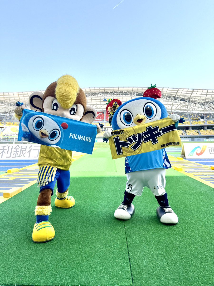 フリ丸 tweet media