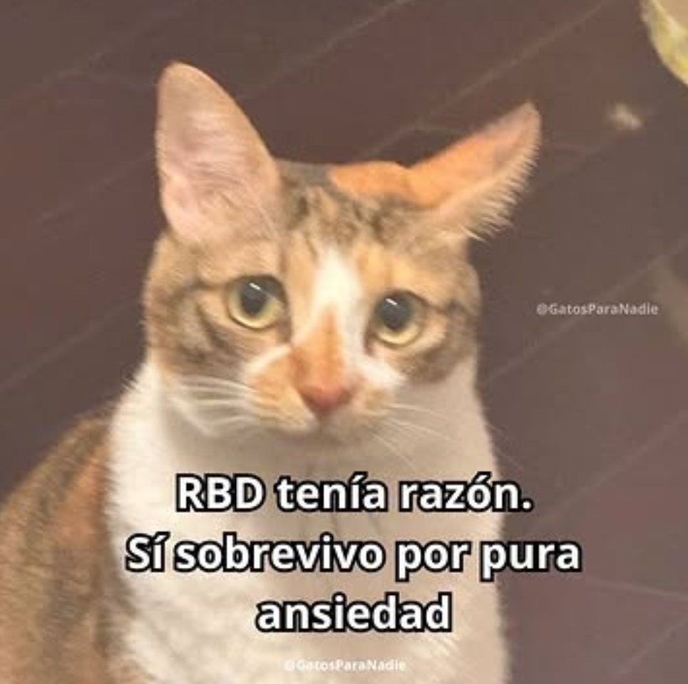 Pequeña ⚡︎ ☮︎ (@lunavondy) on Twitter photo 