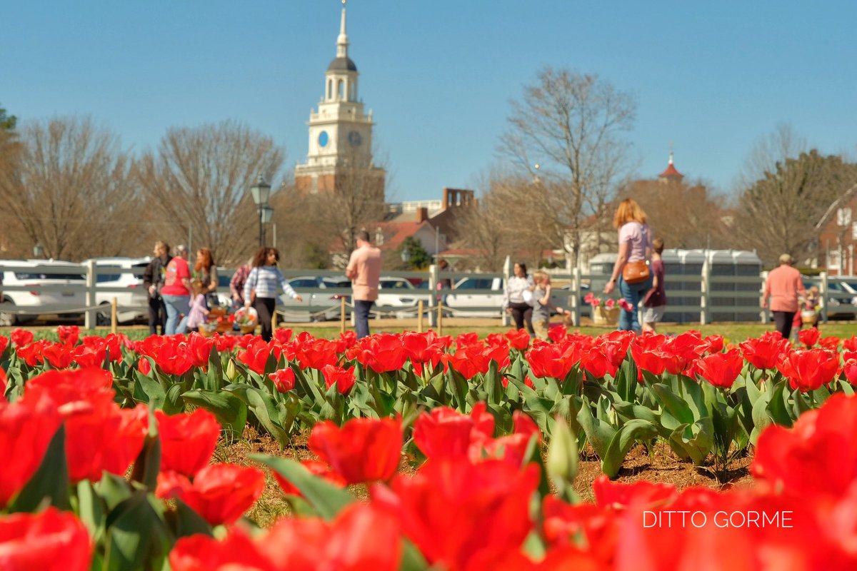 Ditto Gorme tweet media