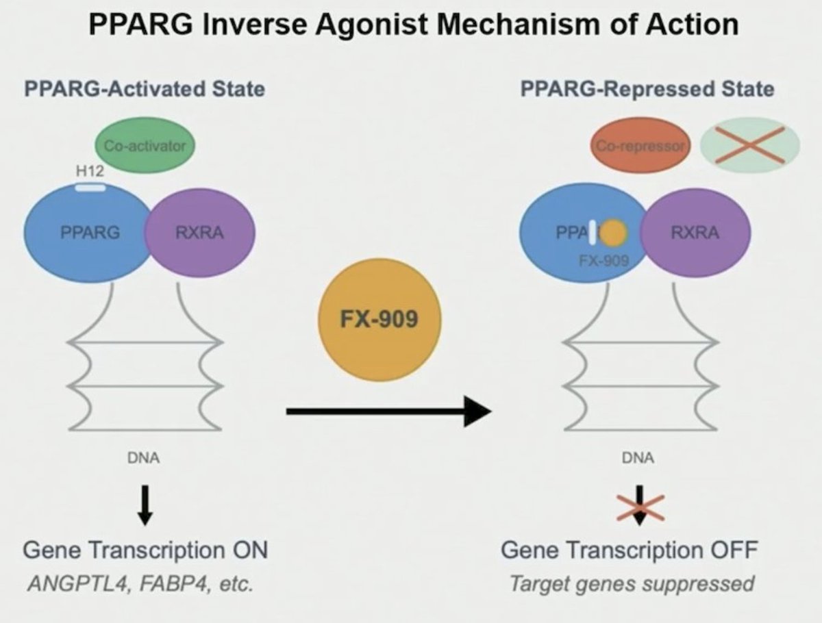David H Aggen, MD PhD tweet media