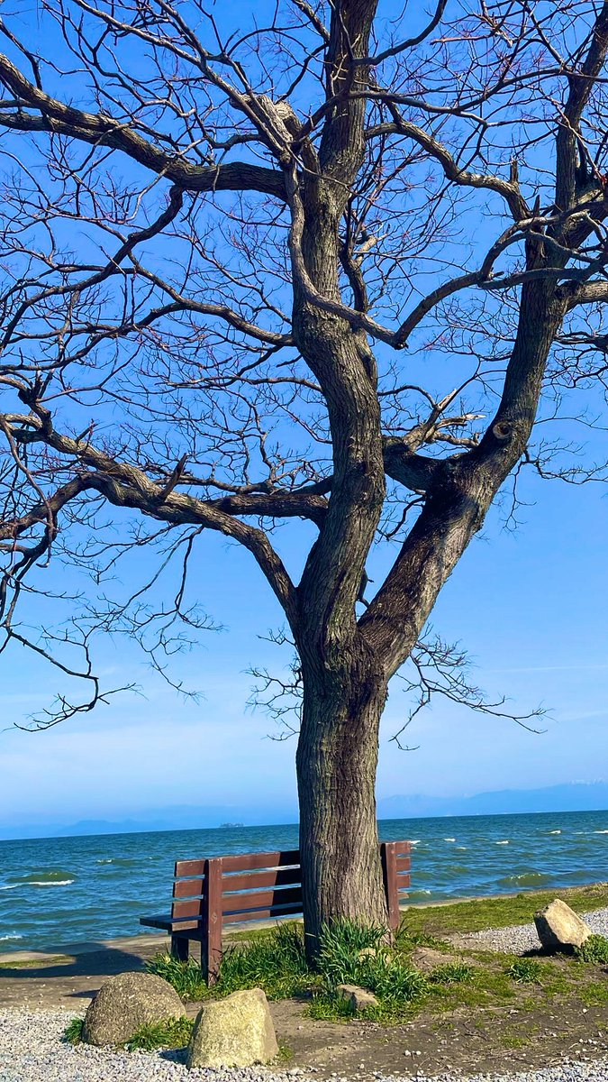 屁神☺︎マリ tweet media