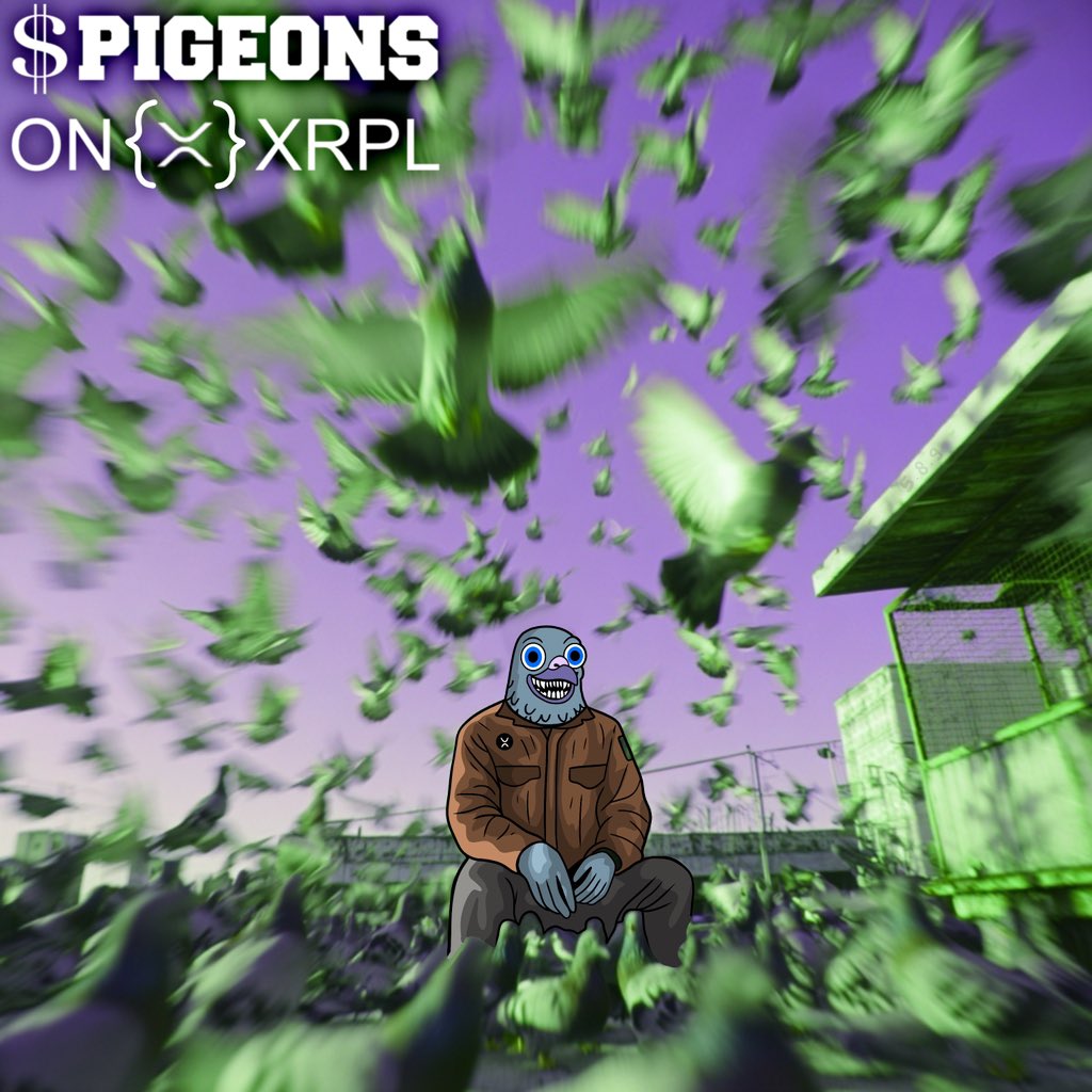 pigeons tweet media