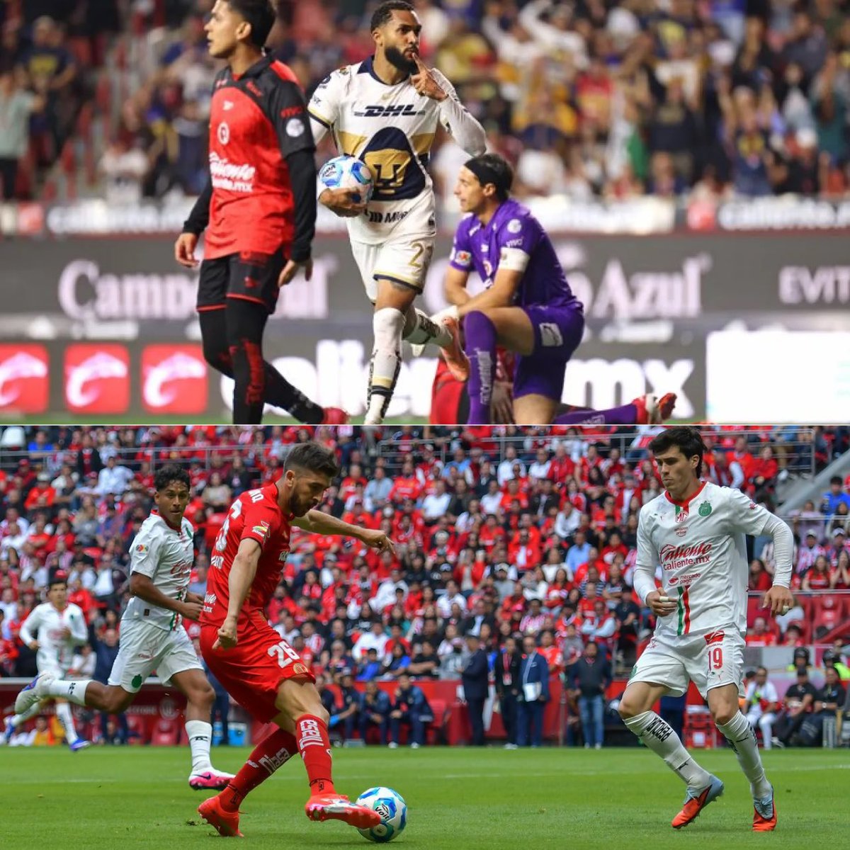 Fabrizio Domínguez Castilla tweet media