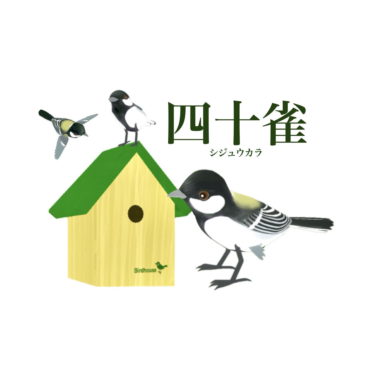 こならや🐸Kaeru_Tapさんの新しいアバターのシジュウカラだよ！樹洞で営巣する野鳥たちは巣箱をよく利用するよ！でも自分で樹に穴を掘れないんだよね！
#アバター #cluster  #シジュウカラ
cluster.mu/store/avatars/…