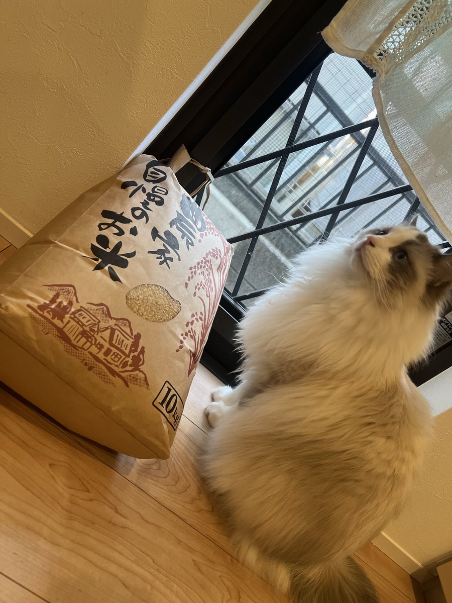 おはようございます🐱 取れました😱