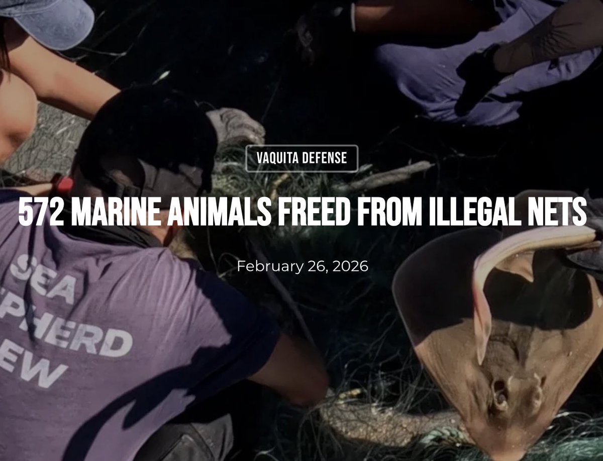 Sea Shepherd US tweet media