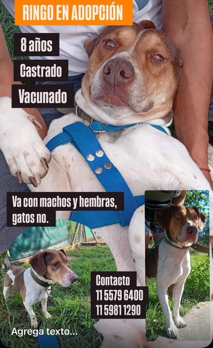 Difundimos