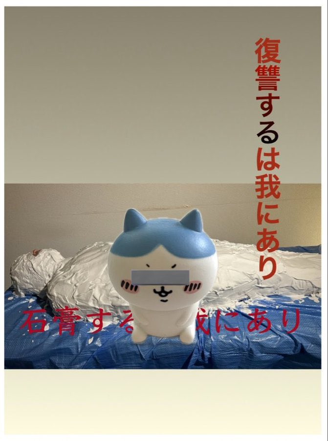 野村企画(仮) tweet media