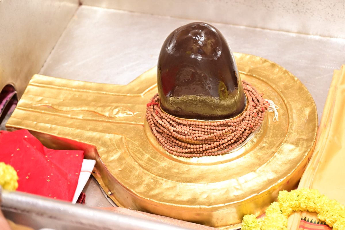 श्री काशी विश्वनाथ जी की मंगला आरती I
#kashivishwanath #kashi #sanatandharma #banaras