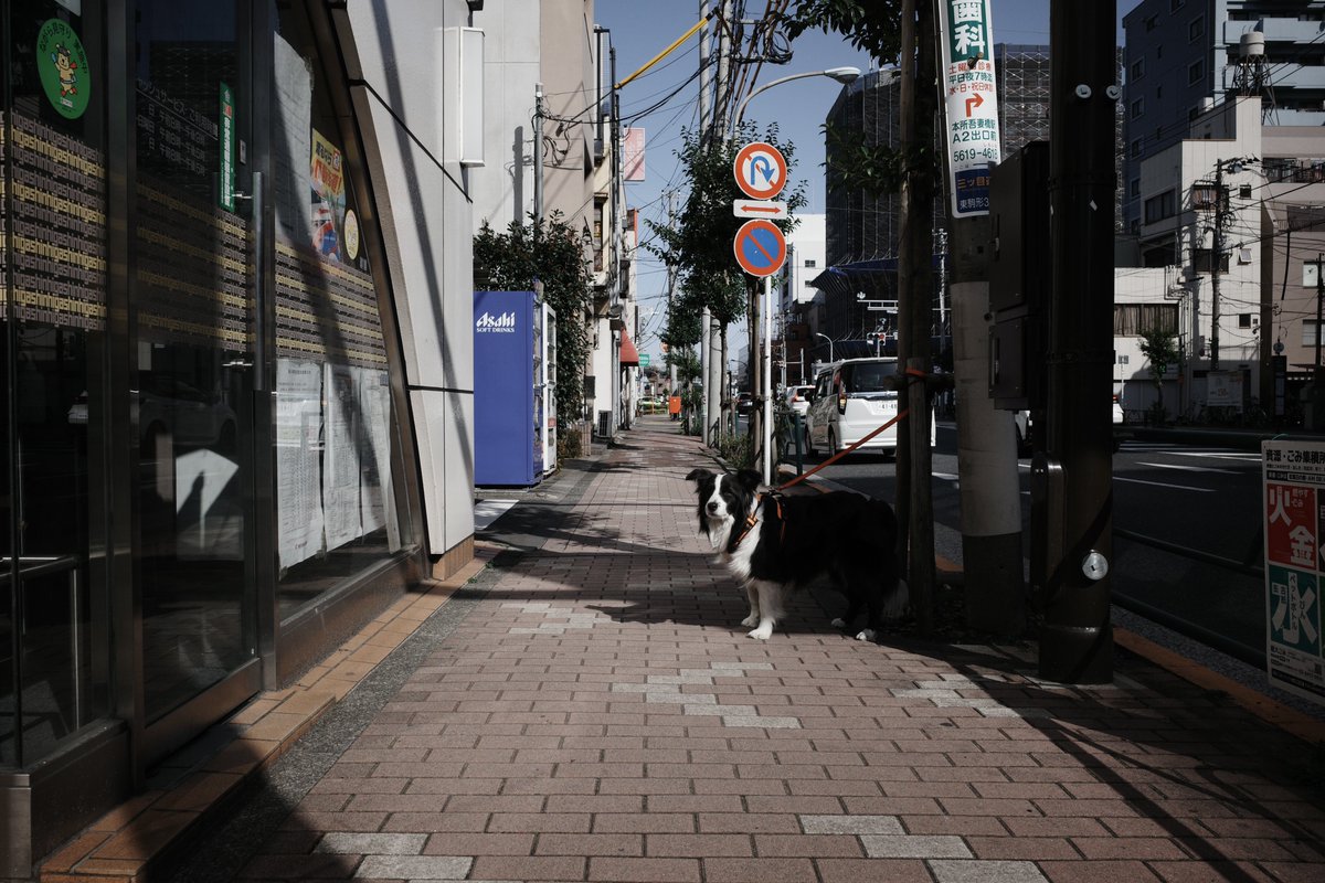 ipas1984's tweet photo. 昨日はZINE FESをじっくり観る時間がなかったから、今日もCP+へ。
朝イチから行く元気はないから今から出発。

#gr #grsnaps #grdays #gr4 https://t.co/G8tq2jpYUs