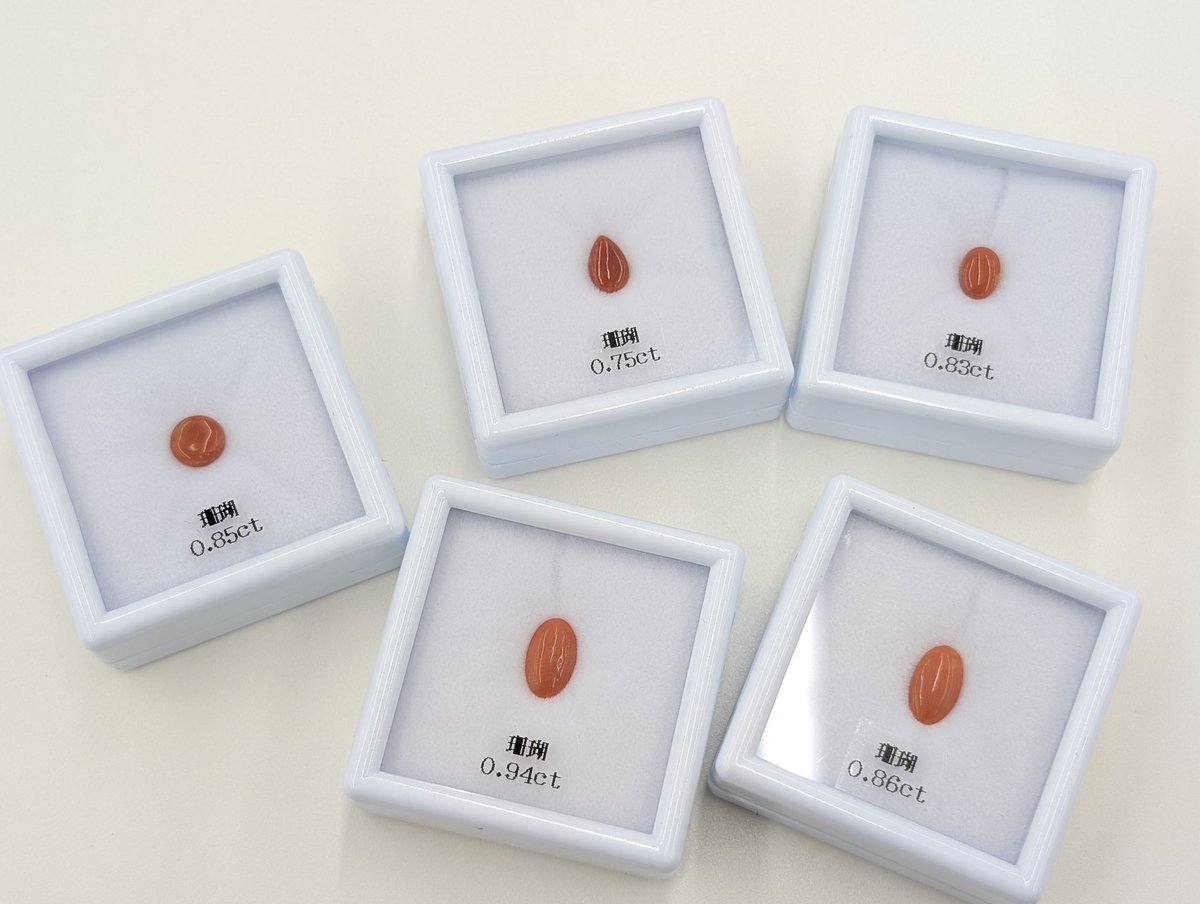 東洋ルース@NEXT⭐️3/27(金)～3/29(日)東洋ルース自社販売会in桶川 tweet media