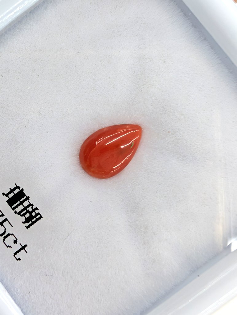 東洋ルース@NEXT⭐️3/27(金)～3/29(日)東洋ルース自社販売会in桶川 tweet media