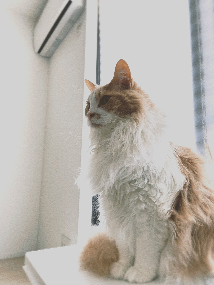 TSUNA (@tuna_cun) / Posts / X