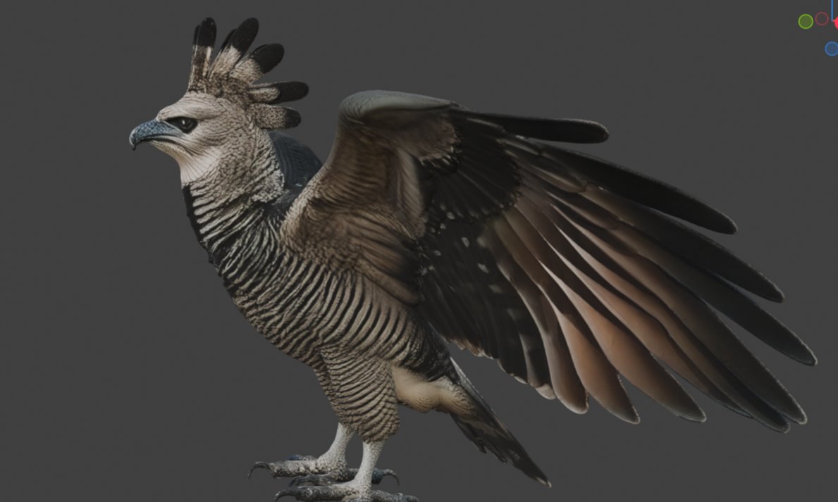 naturalxAI's tweet photo. From snapshot to 3D masterpiece.
Check out this stunning Harpy Eagle 🦅 created with our community.Image donated by a Natural AI user.
Born in Meshy AI.
Perfected and rigged in Blender
Don’t just ID it, 3D it 📱.
#NaturalAI #MeshyAI #Harpy #DontJustIDit3Dit @MeshyAI https://t.co/ricHDcgZ6d